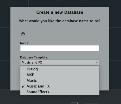 create your own fields of the media meta data.